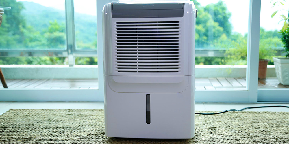 How to Choose a Dehumidifier for home