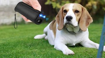 Best Ultrasonic Dog Repeller