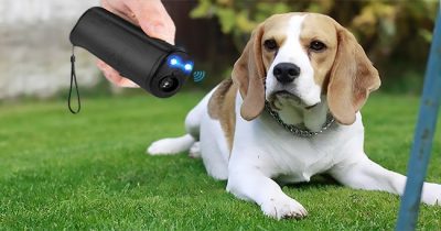 Best Ultrasonic Dog Repeller Reviews 2023 - Top 10 Picks