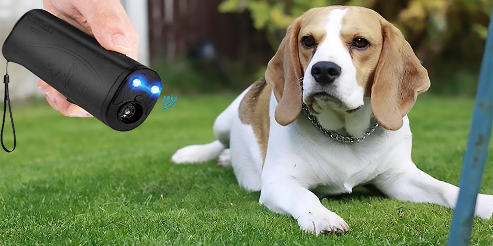 strongest ultrasonic dog repeller