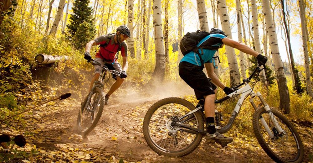 Best mountain bikes