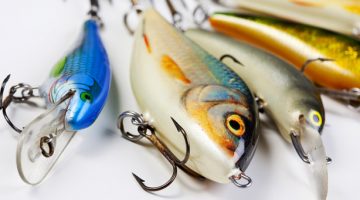 best bass fishing lures reviews