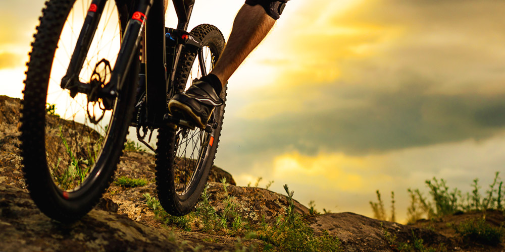 wheel size mountain bike