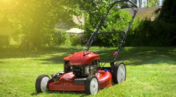 Best Gas Lawn Mowers