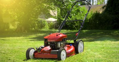 Best Gas Lawn Mowers Reviews 2023 - Top Rated Models & Buying Guide