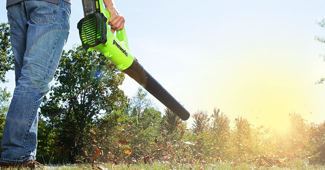 Best Battery Powered Leaf Blowers Reviews