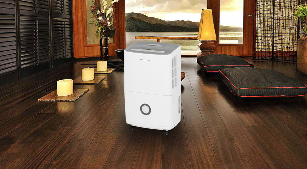 Best Dehumidifiers