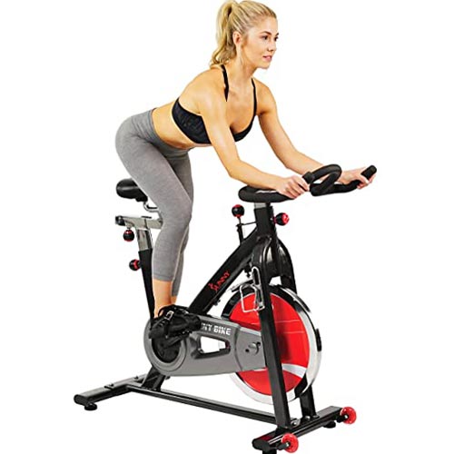 Sunny Health & Fitness 49 Lb Chromed Flywheel