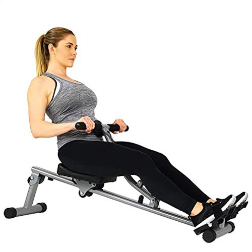 Sunny Health & Fitness SF-RW1205 Rowing Machine